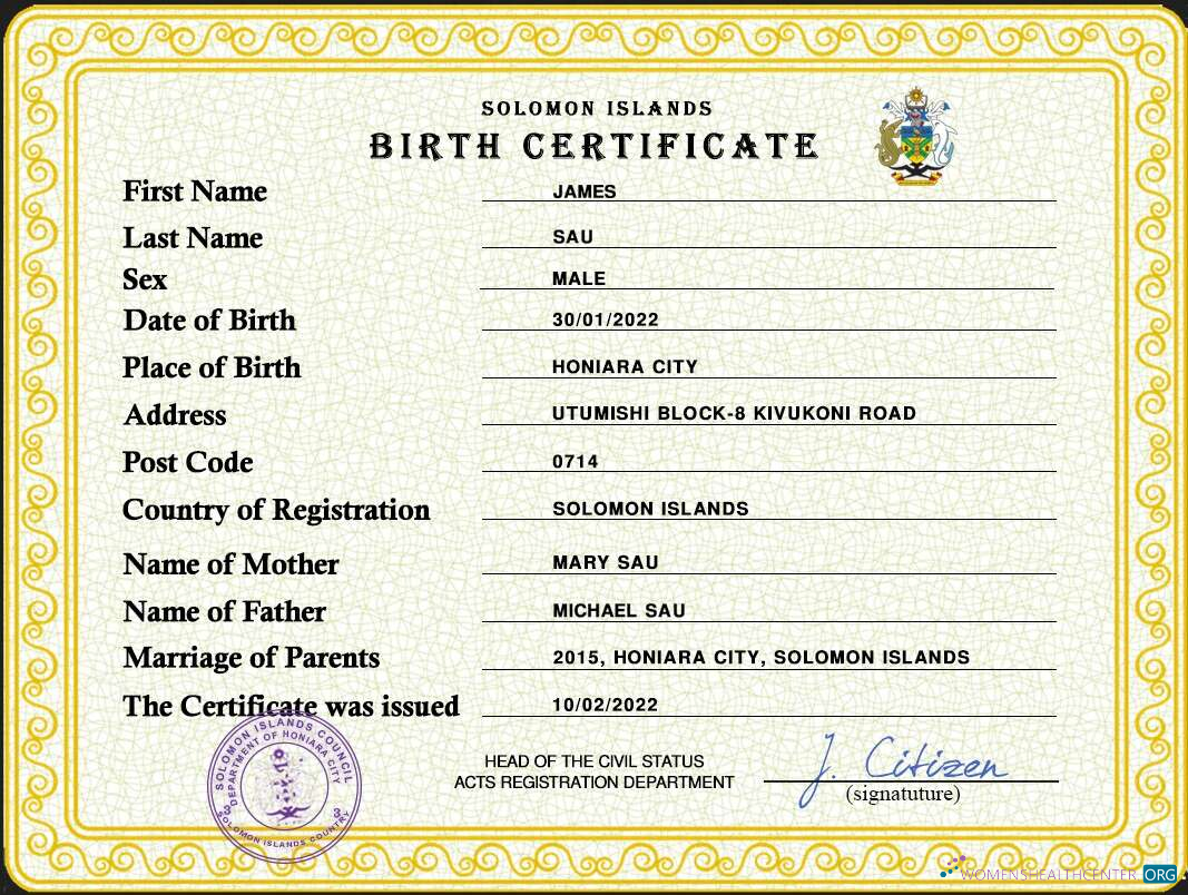 Download Solomon vital record birth certificate PSD template Photoshop template